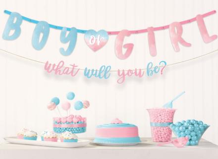 Gender Reveal Party