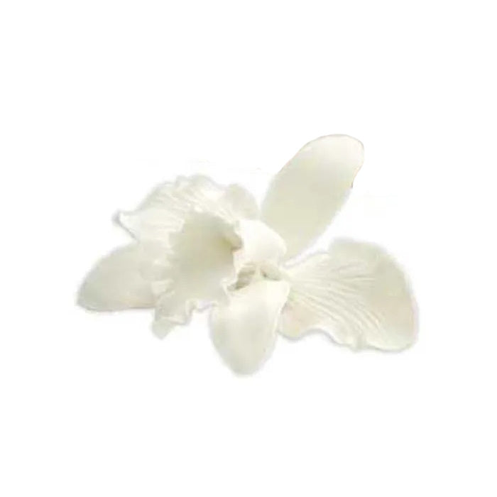 Single Gumpaste Orchid White - Small