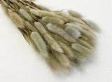 Bunny Tails 10pk Cloud