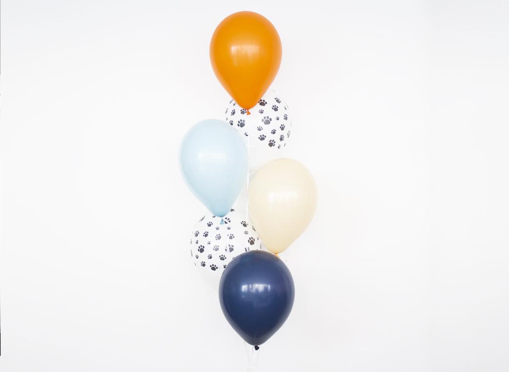 Plain Balloon Mix - Bluey 6pk