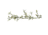 Christmas Mistletoe Foliage Garland