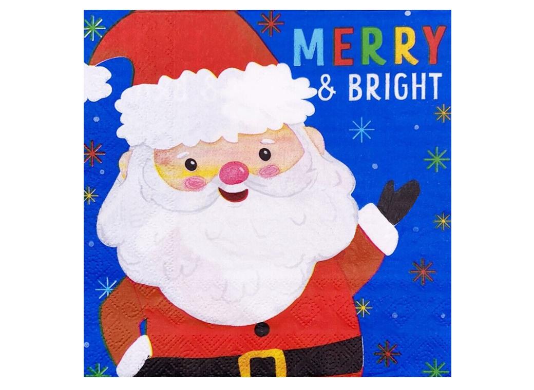 Christmas Napkins 20pk - Santa