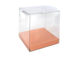 Clear Favour Boxes 10pk - Rose