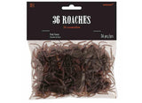 Cockroaches 36pk