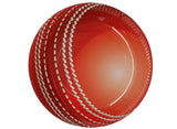 Cricket Dinner Plates 8pk