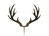 Red Deer Antlers - Gold