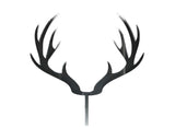 Red Deer Antlers - Silver