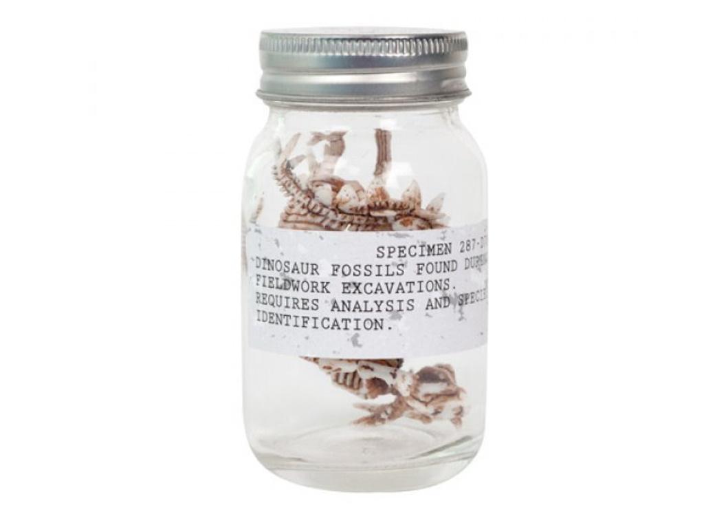 Dino Fossils in a Jar