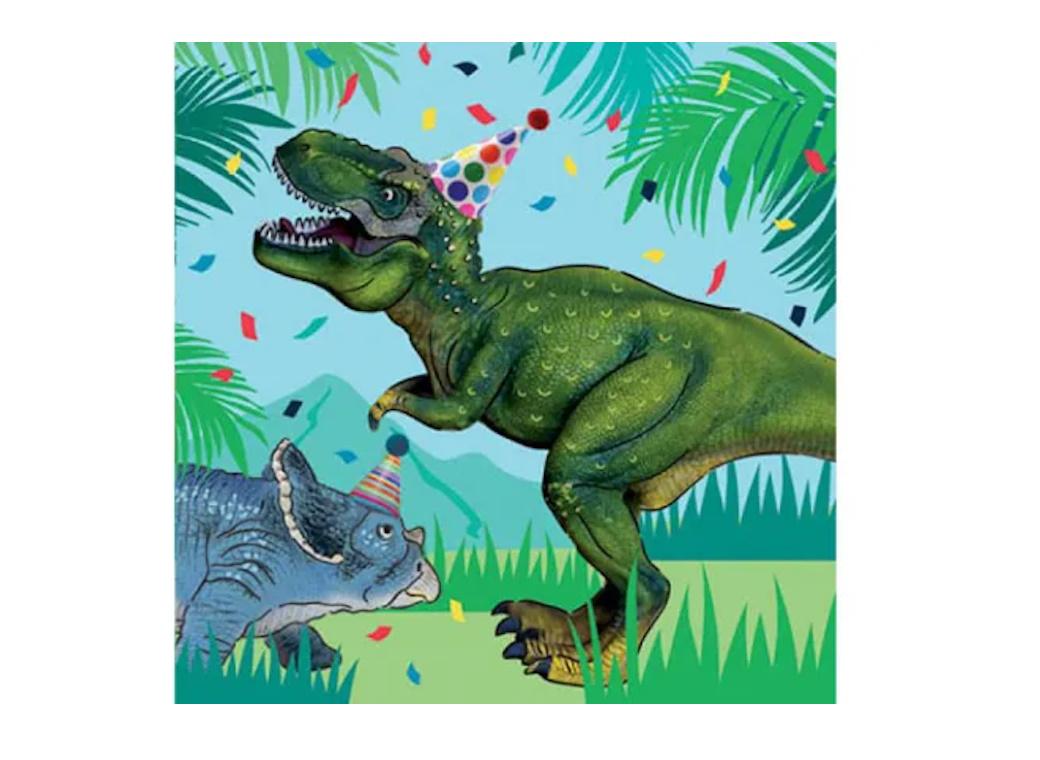 Dinosaur Fun Napkins 20pk