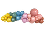 Balloon Garland Kit - Dusky Rainbow