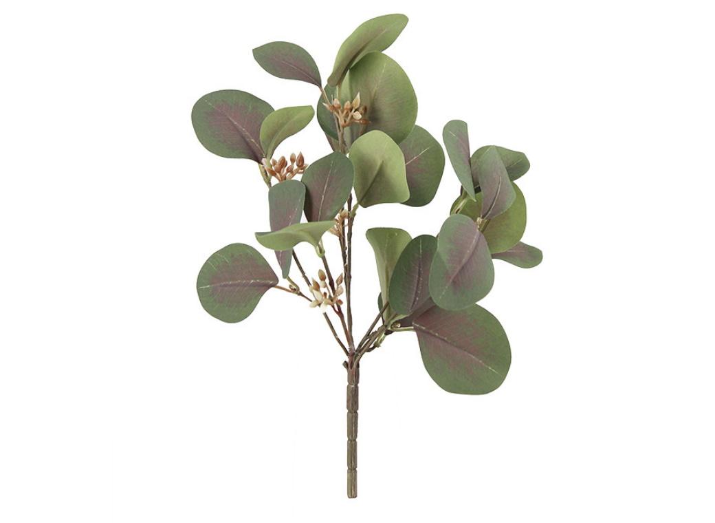 Eucalyptus Bush - Olive