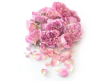 Fresh As Freeze Dried Fairy Roses