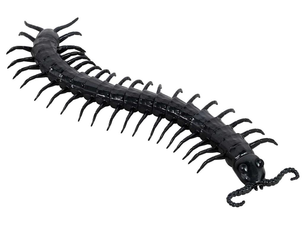 Giant Centipede Prop