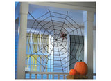 Giant Rope Spider Web