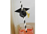 Paper Straws with Grad Caps 12pk