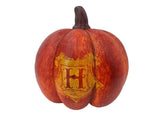 Harry Potter Halloween Pumpkin