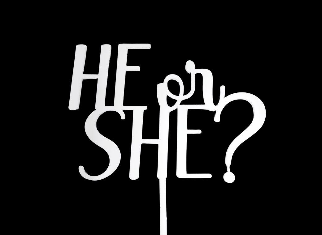 He or She Cake Topper - White