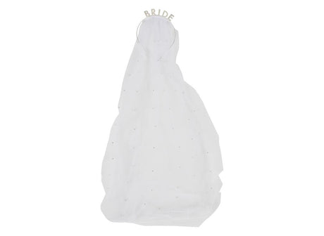 Hen Weekend Bride Headband with Veil