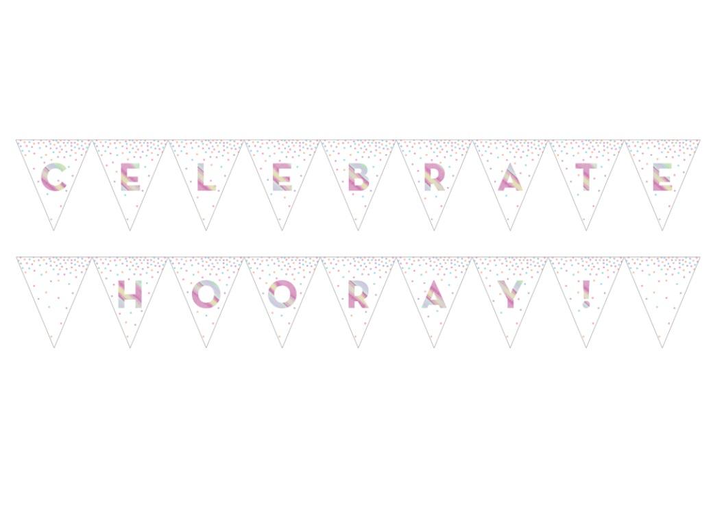 Iridescent Celebration Bunting