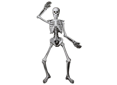 Jointed Skeleton Cutout