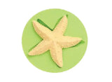 Large Star Fish Silicone Mould