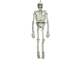 Life Size Hanging Skeleton