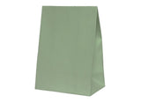 Paper Party Bags 10pk - Eucalyptus