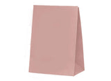 Paper Party Bags 10pk - Rose