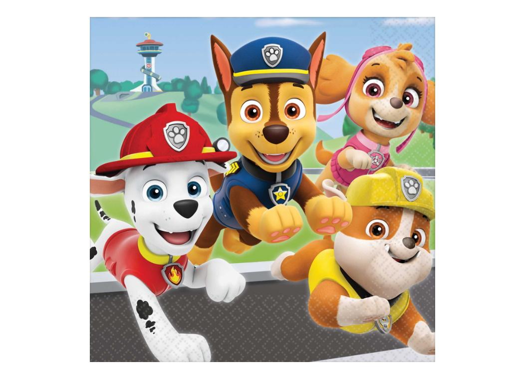 Paw Patrol Adventures Lunch Napkins 16pk