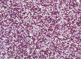 Petite Sprinkle Blend - Purple 500g