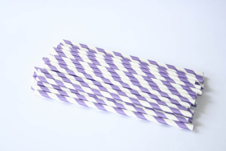 Paper Straws Purple Stripe 24pk