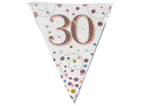 Sparkling Fizz Bunting Flags - 30