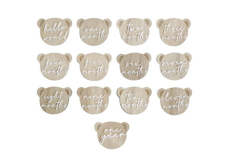 Teddy Bear Wooden Baby Milestone Signs