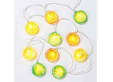 Tropical Fiesta Fruit Slice LED Lights