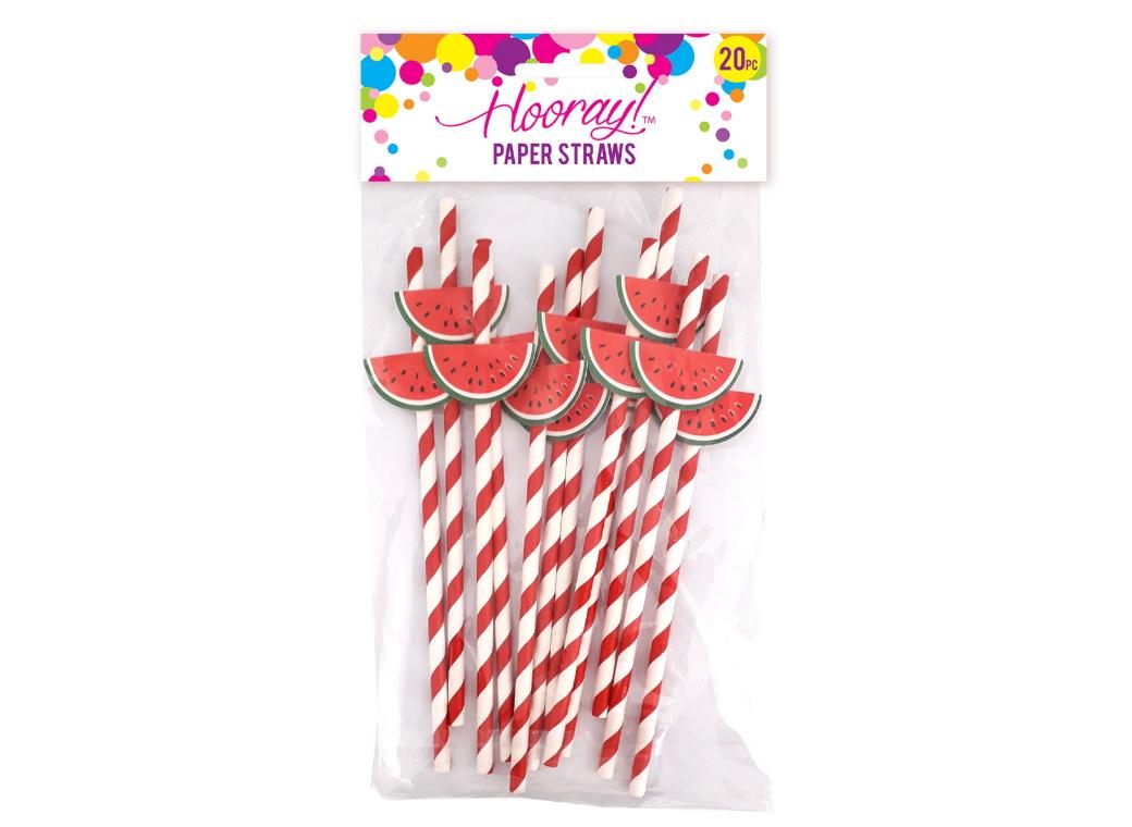 Watermelon Slices Paper Straws 20pk